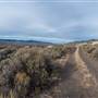 Sabiston Creek Road - West Field with Hillside and Plateau