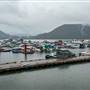 Shingle Mill Pub Marina