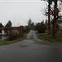 Back Alley Campbell River #2