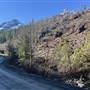 Zeballos Highway Burn Site