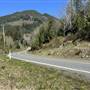 Port Alice Highway