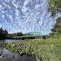 Rest Stop - Nimpkish Bridge and River Trail