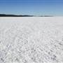 BRENDA MINES (winter)