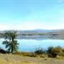 Douglas Lake