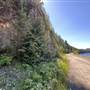 Maynard Lake - Alice Lake Loop