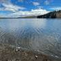 Edith Lake in Knutsford Grasslands ALL SEASONS
