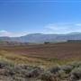 Desert Hills Ranch Crop Fields on Upper Plateaus