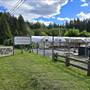 Arrowsmith Greenhouses