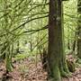 Morrell Sanctuary