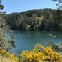 Matheson Lake Regional Park