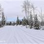 Tunkwa Lake FSR WINTER