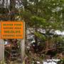 Beaver Pond