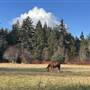 Jay Lowler Farm