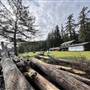 Alders Beach Resort