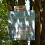 Sproat Lake Joint Venture Campground