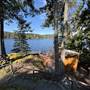 Shawnigan Lake Cabins