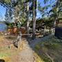 Shawnigan Lake Cabins