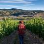 Harper's Trail Estate Winery