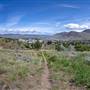 Peterson Creek Nature Park - Sagebrush Loop Trail
