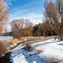 Reg Conn Park - Winter