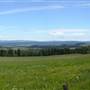 Philip Farm Forest & Meadows