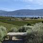 SUMMERLAND LANDSCAPES / VISTAS