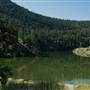 YELLOW LAKE