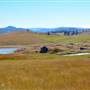 Frolek Homestead Ranch in Grasslands SUMMER