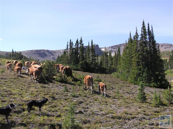 Locations Hub - Sand Creek Ranch
