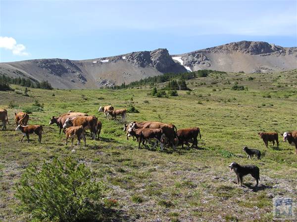 Locations Hub - Sand Creek Ranch