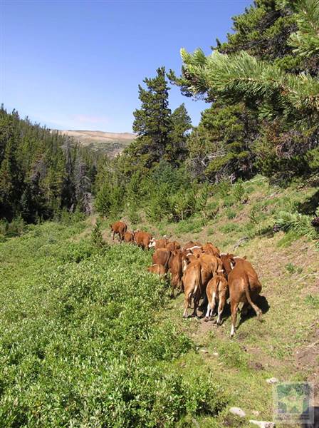 Locations Hub - Sand Creek Ranch
