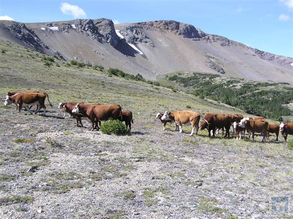 Locations Hub - Sand Creek Ranch