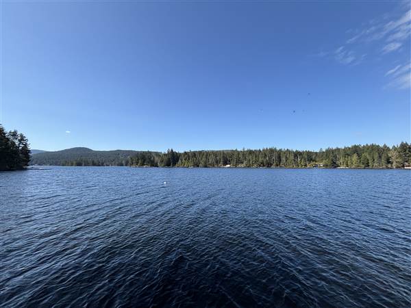 Shawnigan Lake Cabins (4/16/2025 - Credits: LJ Leppard)