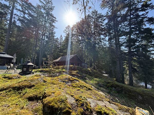 Shawnigan Lake Cabins (4/16/2025 - Credits: LJ Leppard)