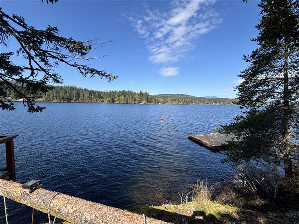 Shawnigan Lake Cabins (4/16/2025 - Credits: LJ Leppard)