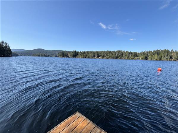 Shawnigan Lake Cabins (4/16/2025 - Credits: LJ Leppard)