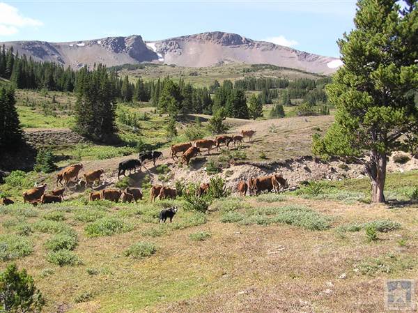Locations Hub - Sand Creek Ranch