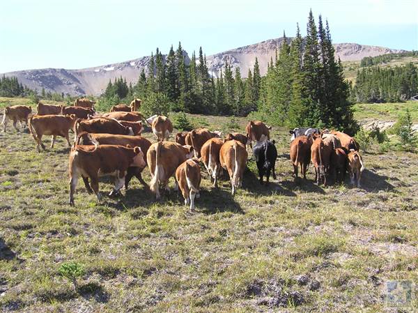 Locations Hub - Sand Creek Ranch